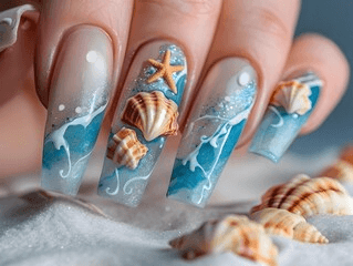 Seashells